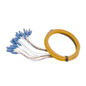 24 Fiber SCU Pigtail